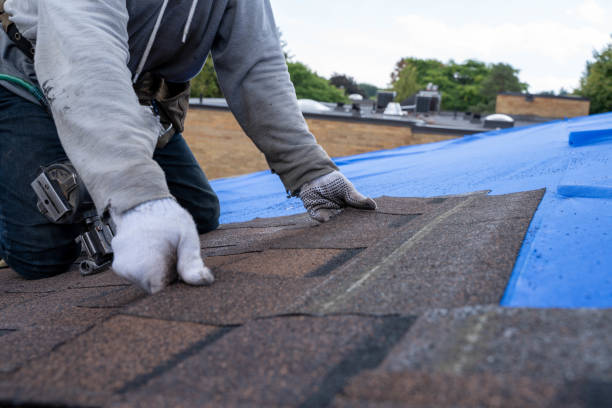 Professional Roofing Contractor in Brandon, SD