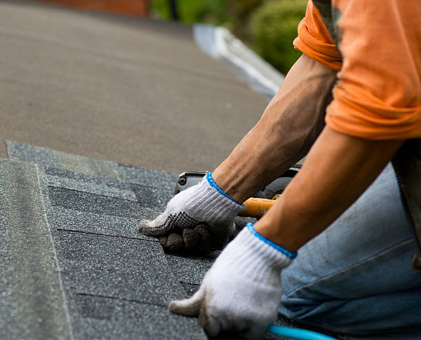 Best Storm Damage Roof Repair  in Brandon, SD
